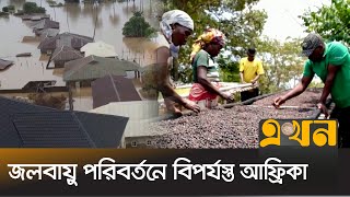 মোজাম্বিকে অর্থনৈতিক সংকট দূর করছে কফি চাষ | African Coffee | Ekhon TV