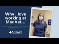 why i love working for medvet samantha