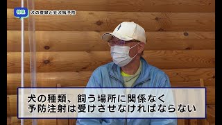 特集「犬の登録と狂犬病予防」（2022年3月28日～4月3日）