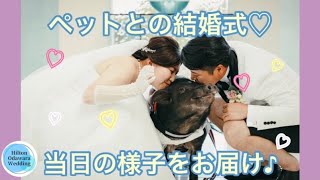 【ヒルトン小田原　結婚式】ペットとの結婚式♡当日の様子をお届け！