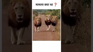 मामला क्या था ❓😂 #ytshorts #ytshort #trending #funny #viralvideo #viralshorts #memes #shorts