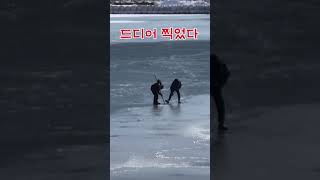 평창강 전통 고기잡이 엄청 크네요 #평창강#산골#