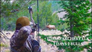 IDAHO ARCHERY ELK | 2 DAYS 2 BULLS