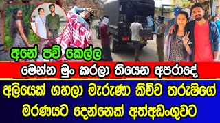 අලියෙක් ග|හ|ලා මැ|රු|ණා කිව්ව තරුෂිගේ ම|ර|ණ|යට දෙන්නෙක් අ|ත්අ|ඩං|ගුවට | sad news of sinhala