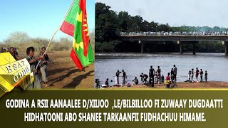 Ethiopia - ABO shanee tarkaanfii fudhachuu himame  [ESAT Oduu Afaan Oromoo 06 14 2022]