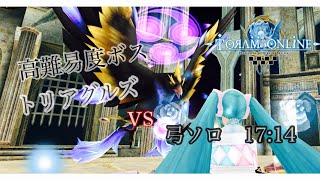 【トーラム】高難易度トリアグルズ(Pedrio)弓ソロ17:14