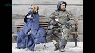 100 Images That Will Restore Your Faith In Humanity