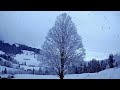 🌨️ winter’s warm embrace ❄️ – soothing piano and relaxing nature ambience