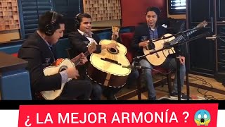 Así ensaya la armonía del - Mariachi Sol de México 👌🏻🎶😍🎻!!!2021.