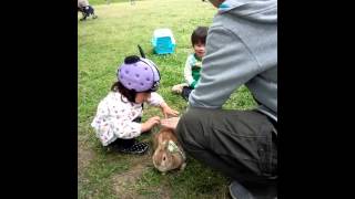 彩湖公園でクーちゃんと遊ぶきーちゃん ②