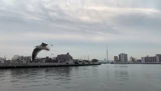 Nakagawa River in Higashitateishi, Katsushika-ku in mid-January（中川、東立石、葛飾区）