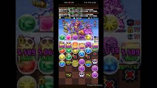 「パズドラ」PAD 「神」 稱號挑戰 蟻王隊 輕鬆過 。