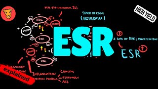 ERYTHROCYTE SEDIMENTATION RATE Explained Why ESR increase