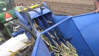 HODGE WALPECO Multi Row Sugar Cane Billet Planter Video 2