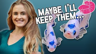 Unboxing - These Aren't My Fish!