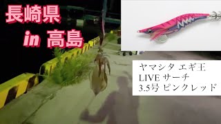 長崎　釣り　【ライトショアジギング】【エギング】