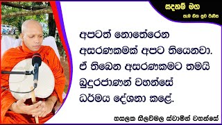 අපටත් නොතේරෙන අසරණකමක් අපට තියෙනවා. 767Ven Hasalaka Seelawimala Thero