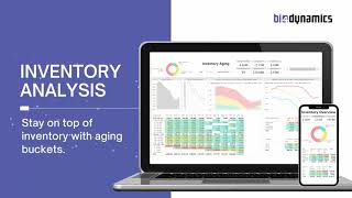 Inventory Analysis - BI for Microsoft Dynamics