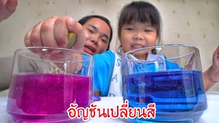 น้องถูกใจ | การทดลองดอกอัญชันเปลี่ยนสีด้วยมะนาว