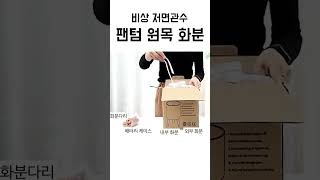 비상 팬텀 저면관수 원목 화분