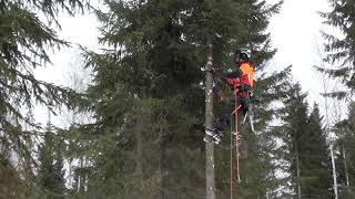 Metsolan metsäkoulu 140 - Näin kiivetään puuhun