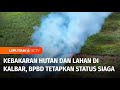 Kebakaran Hutan dan Lahan di Kalbar, BPBD Tetapkan Status Siaga Bencana | Liputan 6