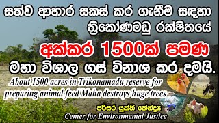 ත්‍රිකෝණමඩු  රක්ෂිතයේ මහා  වනය විනාශ කරදමමින් කරන්න යන  විනාශකාරි වැඩෙ - පරිසර යුක්ති කේන්ද්‍ර කියයි