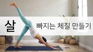 [EVA YOGA]기초대사량을 높이는 요가 / 살빠지는 체질 만들기 / 기초체력 / 근력강화