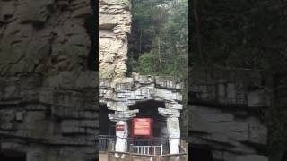 Wild Monkeys in Zhangjiajie Tianmen Mountain National Park, China