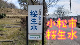 桜生水【石川県小松市】