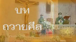 บทถวายศีล #เพลงคาทอลิก #เพลงในพิธีมิสซา #วัดแม่พระกุหลาบทิพย์ 16.10.2022