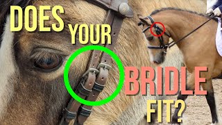 HOW TO FIT A BRIDLE TO YOUR HORSE | with LANTRA Qualified Bit & Bridle Fitting Consultant | Vlogmas