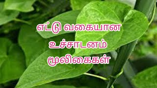 உச்சாடனம் செய்யக்கூடிய மூலிகைகள்....