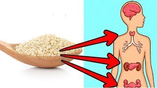 Amazing Health And Nutritional Benefit Of Sesame Seeds