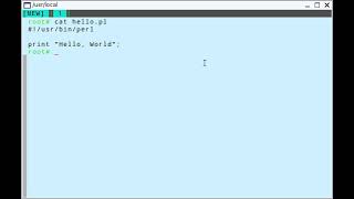 Run Perl programs in Linux terminal #linux #perlcourse #coding