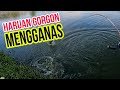 JUMP FROG JAWS!!! GEWANG PADU MENGGODA GORGON | CASTING HARUAN | LUBUK SABAK BERNAM