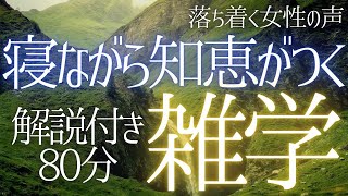 【睡眠導入】秒で爆睡💤朝までぐっすり！夢の中で賢くなる 大人の睡眠学習 解説付き 雑学 睡眠用BGM 聞き流し ai【落ち着く女性の声・合成音声】