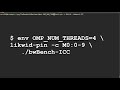 how to use likwid pin extended version