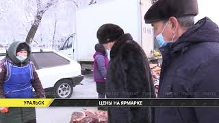 Продуктовая ярмарка прошла в Уральске