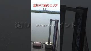 淀川バス釣りポイント！！淀川クイズです〜！！どこの場所かわかるかな？？わかる人は淀川マスター上級者です！わかる方はグッドボタンよろしくお願いします。#shorts #fishing#バス釣り #淀川