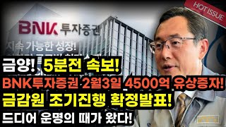 🔵[금양] 긴급! BNK투자증권 2월3일 4500억 유상증자 금감원 조기진행 확정! 결국 폭등시그널 나왔습니다 절대로 흔들리지말고 \