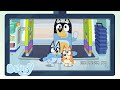 Tienda de TV | Serie 3 | Bluey Español Canal Oficial