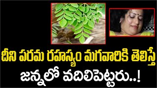 దీని గురించి ఈ పరమ రహస్యం మగవారికి తెలిస్తే జన్మలో వదిలిపెట్టారు || #MoringaLeaves #MunagaAakulu