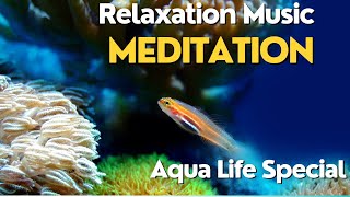 Relaxation Music Aqua Special 11