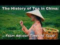 The History of Tea in China: From Ancient Times to Today