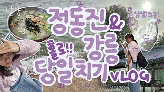 [Gangneung] 여행로그🚂 | 홀로 떠난 정동진 \u0026 강릉 당일치기 기차 여행 브이로그