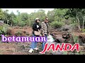 wisata air terjun janda beranak 3