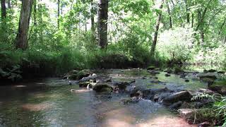 Bubbling Stream in the Sun - 2 hours calming water audio no loop