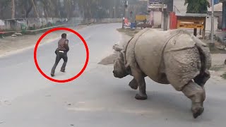 6 Rhino Encounters Way Too Scary For You