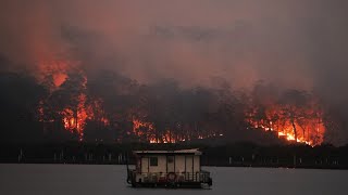 Batemans Bay reports loss of up to 90 per cent of trade post-bushfires